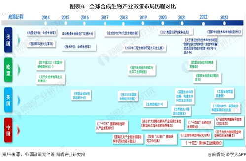 2024年中國合成生物產業全景圖譜 規模躍升、區域集聚與技術突破